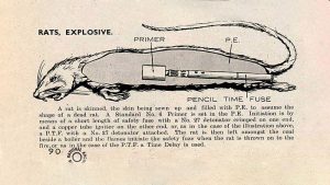 Ratas bomba: la estrategia psicológica británica que aterrorizó a los nazis