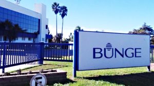 China da luz verde a la fusión Bunge-Viterra: revolución en el comercio mundial de granos