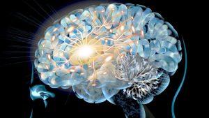 ¿Por qué hacemos lo que hacemos? El cerebro y su capacidad