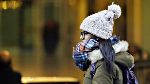 Muho frio en la ciudad