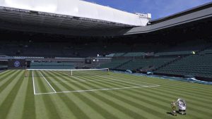 Se sorteó el cuadro principal de Wimbledon