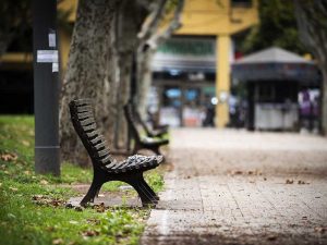 Lunes húmedo: niebla en la mañana, para el resto del día el cielo estará parcialmente nublado