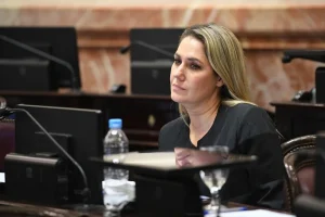 Carolina Losada aclaró su voto en el Senado: “Fue un gesto para visibilizar la situación de jubilados y personas con discapacidad”