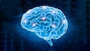 Este martes se celebra el Día Mundial del Cerebro