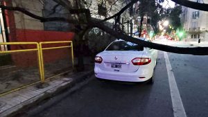 árbol caido en San Lorenzo e Italia