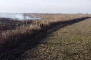 Condenaron a tres apicultores por los incendios en el Delta