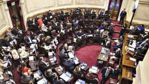 El Senado de la Nación