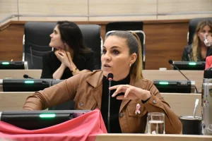 Gigliani pide informes sobre una compensación para los Bomberos Voluntarios