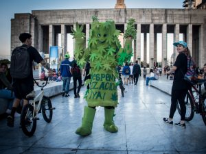 Asamblea Cannábica de Rosario: Propuestas para la Nueva Constitución Provincial