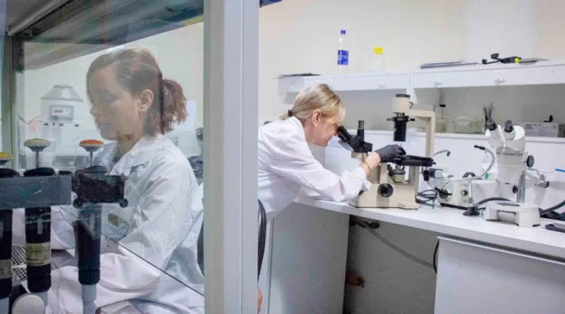 La investigadora del Conicet y IBR, Claudia Banchio, investiga exosomas para tratar el Parkinson-2025