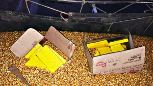 Incautan 44 kilos de cocaína