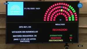 Por amplia mayoría en la votación, el Senado rechazó la intervención y vaciamiento del Instituto Nacional del Teatro
