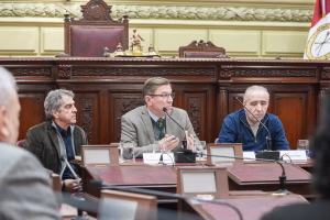 aRmando tRafeRRi, RodRigo boRla, convencion constituyente de santa fe