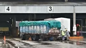 Planta Renova Timbues