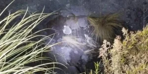 Restos Humanos en Mendoza pertenecientes a pueblos originarios