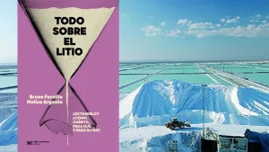 Libro Todo sobre el litio