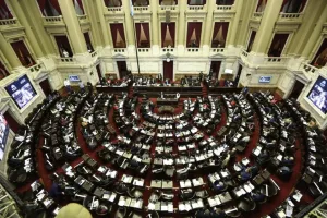 Diputados debate el veto de Milei a la ley de emergencia en Discapacidad y la oposición busca dar el golpe