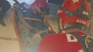 Intentaba rescatar a su gato y cayó desde un tercer piso