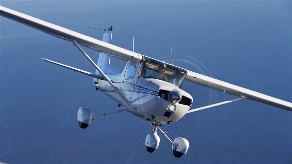 Hallaron aeronave oculta por ramas en zona rural de Pergamino