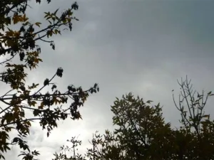 mayormente nublado cielo rosario