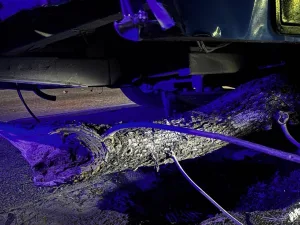 Colectivo chocó en Catamarca al 3100