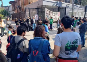 movilizacion ate_conicet, facultad de ciencias medicas unr