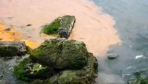 Pidieron condena de prisión para directivos de empresa pesquera acusados de contaminación en Puerto Madryn