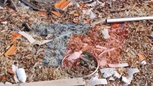 Impactantes imágenes de montaña de ampollas de fentanilo: intervención urgente y preservación del lugar