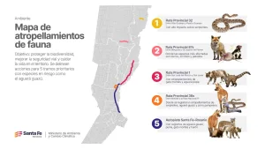 Provincia presentó su primer mapa de atropellamientos de fauna y define acciones para 5 tramos críticos prioritarios