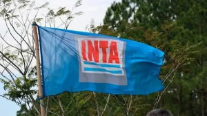 Fallo judicial frenó 300 despidos encubiertos en el Inta y dispuso una sanción económica de $10 millones diarios al gobierno de Milei