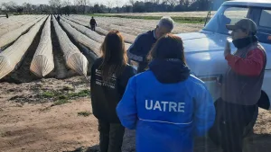 Detectaron precarias condiciones laborales en trabajadores de la frutilla en Coronda