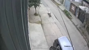 A punta de pistola, cuatro hombres le robaron el auto a una portera