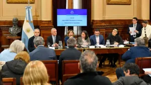 La oposición en el Senado logró dictaminar la emergencia pediátrica y el financiamiento universitario y le dio otro golpe al gobierno de Milei