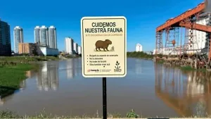 Instalación de cartelería en Puerto de Santa Fe para proteger a los carpinchos