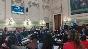 Cuestionan dictamen de mayoría sobre libertad de prensa en la Constituyente: “Exigimos a las y los convencionales que escuchen lo que la sociedad viene pidiendo”