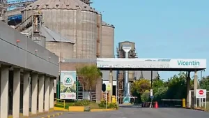 Cramdown de Vicentin: cinco empresas competirán por un acuerdo antes del 31 de octubre