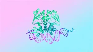 Avance y advertencia: un modelo de IA permite predecir las enfermedades que tendrás en 20 años