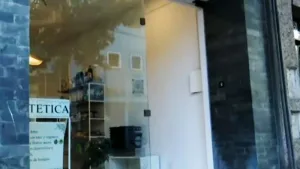 Violento robo en una dietética: se llevaron medio millón de pesos y destrozaron la vidriera