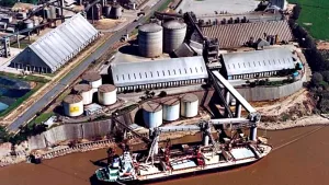 Las grandes cerealeras aprovecharon las retenciones cero: cuáles subieron al podio