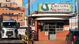 Agobiada por las deudas, Celulosa presentó convocatoria de acreedores y su futuro es incierto