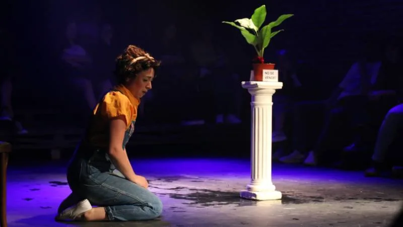 Disorder se presenta en el Cultural de Abajo