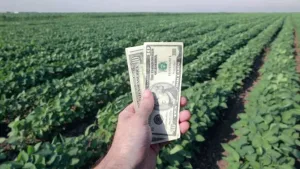 Las exportaciones del agro ya alcanzaron el cupo de u$s7.000 millones y se terminaron las "retenciones cero"