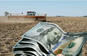 Duro reclamo de la Sociedad Rural de Rosario: denuncian que el dólar diferencial benefició solo a grandes exportadores