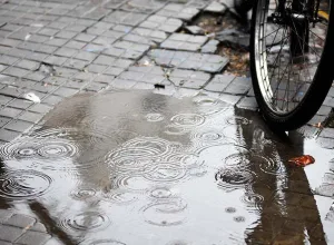 Lunes con tormentas aisladas en la mañana, luego cielo mayormente nublado