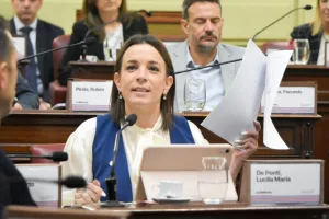 lucila de ponti- constituyente