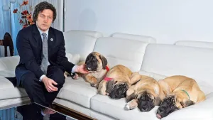 Milei dio detalles en una entrevista de la Sala Conan de la Quinta de Olivos, donde guarda regalos y cuadros de sus perros