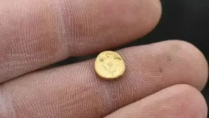 Una fortuna: el electrodoméstico que tenés en tu casa y contiene oro de 22 quilates