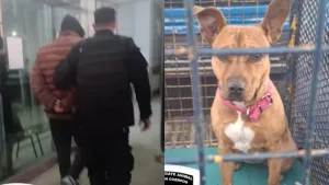 Detuvieron a un hombre en barrio Ludueña por el maltrato de dos perros