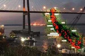 La superficie quemada en las islas del Paraná, entre enero y septiembre, equivale a 230 parques Independencia