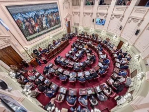 Se aprobó la "Ficha Limpia" en la nueva Constitución de Santa Fe